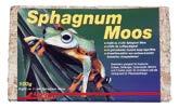 SPAGHNUM MOSS 100 GR Es un musgo natural de alta calidad desecado y prensado para su conservación que si se sumerge en agua se expande hasta conseguir 6L de fresco musgo.