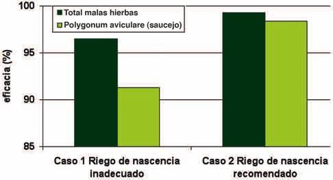En la figura 1 se representan resultados de ensayos en los que se han aplicado los mismos programas herbicidas recomendados por AIMCRA, sólo ha variado el manejo del riego.