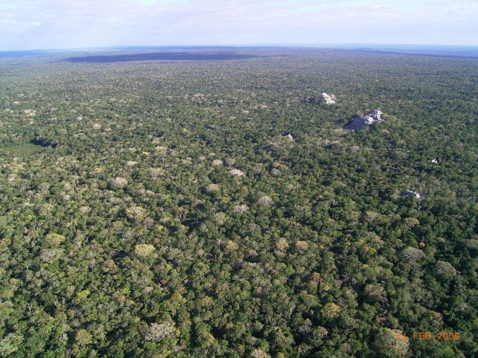 Contexto General Contiene una de las últimas extensiones de selvas tropicales más grande de la República Mexicana (Herrera-MacBryde, O. 1998).