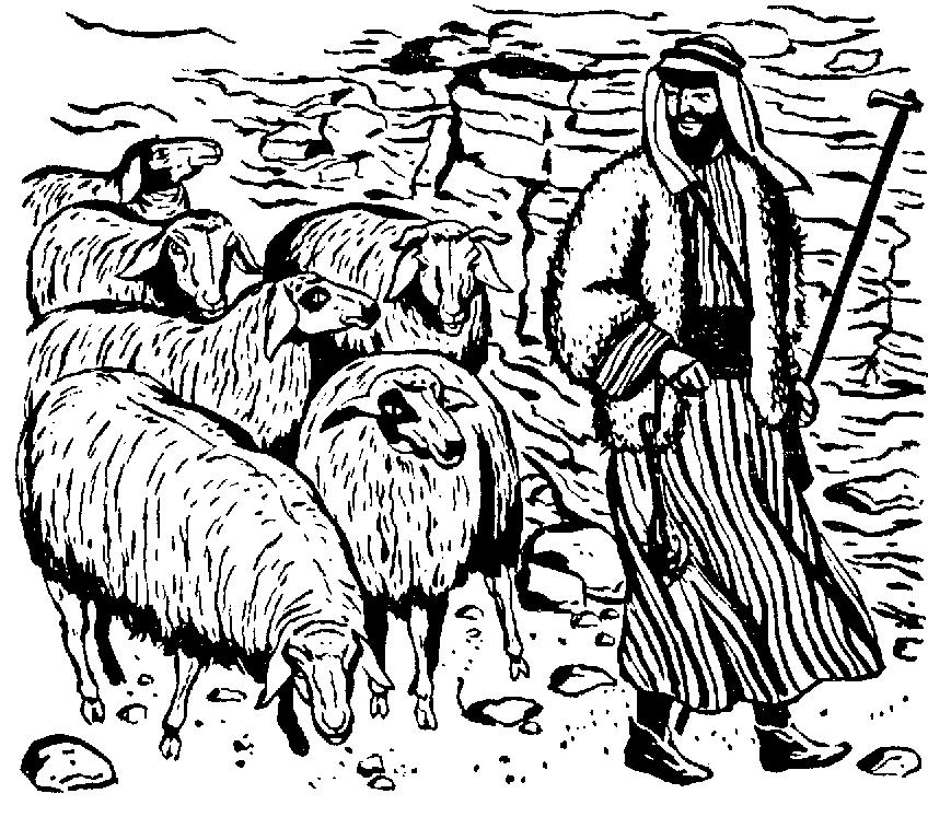 LA ECONOMÍA GANADERÍA Fue muy importante el pastoreo nómada de animales adaptados a