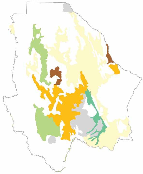 GANADERÍA MAPA DE DEGRADACIÓN DE SUELOS La principal causa de la degradación de los suelos es por la falta de planeación en el manejo de suelos, en Chihuahua más de 10 millones de hectáreas se