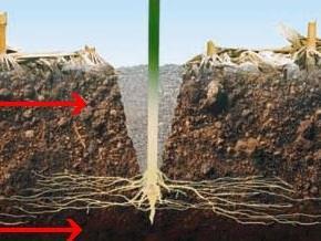 Densidad aparente La densidad aparente del suelo puede aumentar por diversas causas: Por una reducción en el contenido de materia