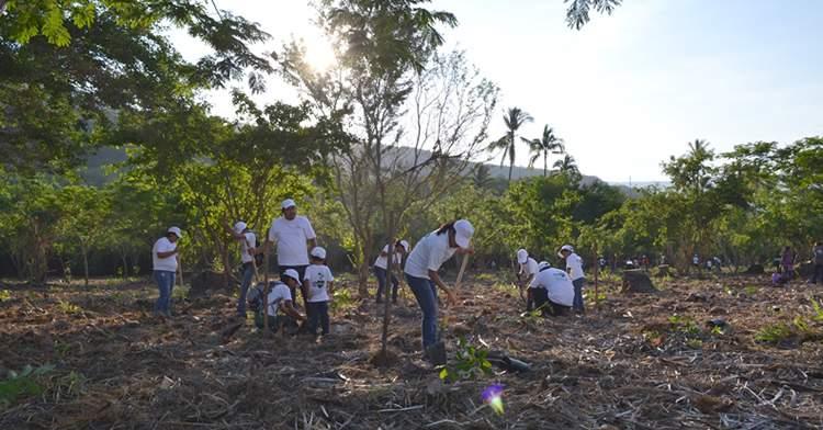 El evento se llevó a cabo el domingo 6 de agosto a partir de las 08:00 hrs en el predio denominado La Organera localizado en el municipio de Tecomán, Colima, y el cual logró sembrar 4 mil árboles de
