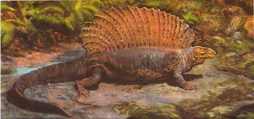 Pelicosaurios Con vela o membrana en el dorso. Tasas metabólicas bajas o reducidas.