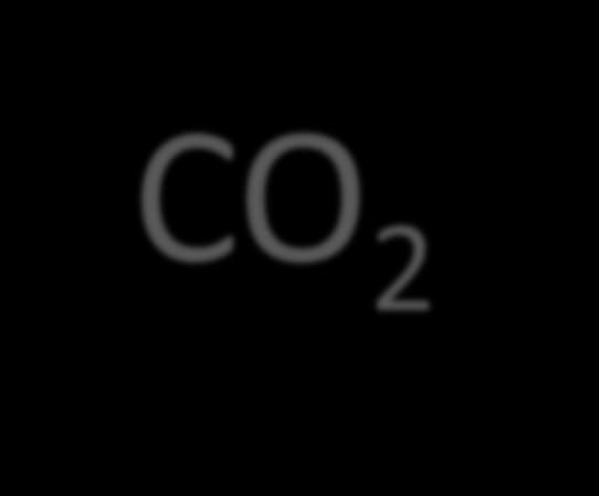 2 O CO 2