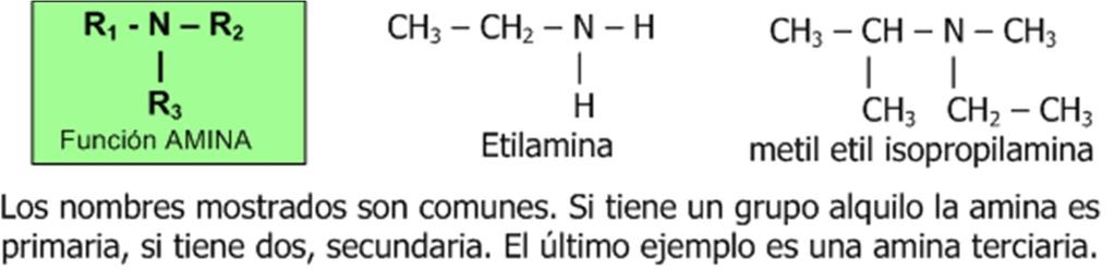 P á g i n a 166 Actividad de Refuerzo # 5. Escriba la fórmula estructural de: A. 1,2,3-propanotriol (nombre común glicerina) B. Metanoato de etilo C. 2,4-dimetil-3-etil hexano D.