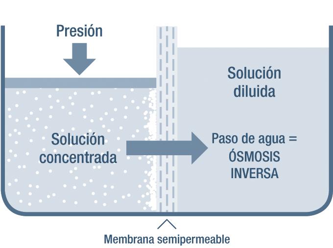 La aplicación de una presión en la disolución más concentrada fuerza a parte del disolvente (el agua) a atravesar la membrana semipermeable, quedando las impurezas y las sales en la parte concentrada.