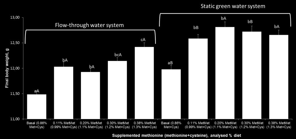 Respuesta del camarón blanco a niveles crecientes de M+C en sistema de flujo continuo vs agua verde estática Sistema de flujo continuo Sistema de agua verde estática Para estimular la presencia de
