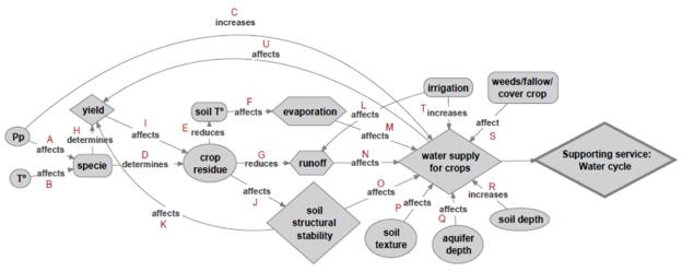 Diagrama conceptual de las relaciones entre el manejo agrícola y la