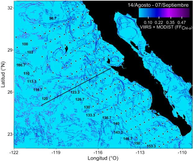 radiación solar que homogeniza la temperatura de la superficie del mar en la parte más oceánica (Fig.