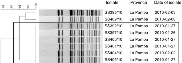 Figure. Dendrogram showing the genetic relatedness of S. sonnei SXT resistant isolates included in the Event 7. Evento en la comunidad Figure 3. Dendrogram showing the genetic relatedness of S. sonnei SXT resistant isolates included in the Event 7. Isolates recovered in Santa Rosa, La Pampa in January February 2010.