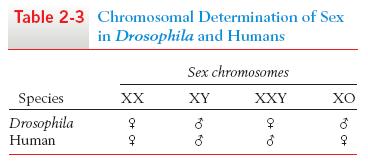 En otros organismos la determinación sexual es diferente que en humanos En