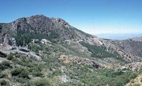 el cerro. Al fondo, este mismo tipo de carbonatos forma el cerro denominado Calar de Güejar Sierra.