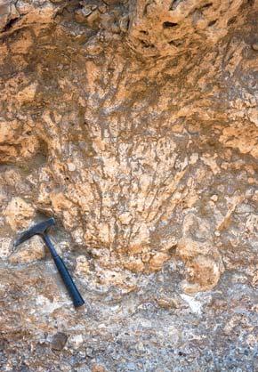 Sierra Nevada la carretera, los conglomerados del Mioceno superior, de unos 8 Ma de edad.