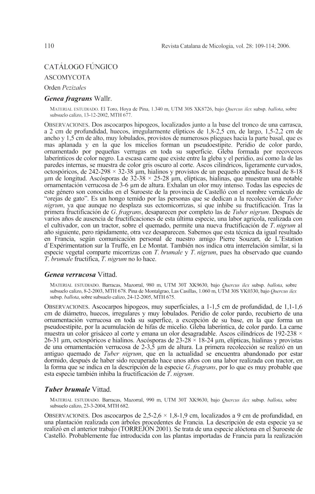 110 Revista Catalana de Micología, vol. 28: 109-114; 2006. CATÁLOGO FÚNGICO AS COMYCOTA Orden Pezizales Genea fragrans Wallr. MATERIAL ESTUDIADO. El Toro, Hoya de Pina, 1.