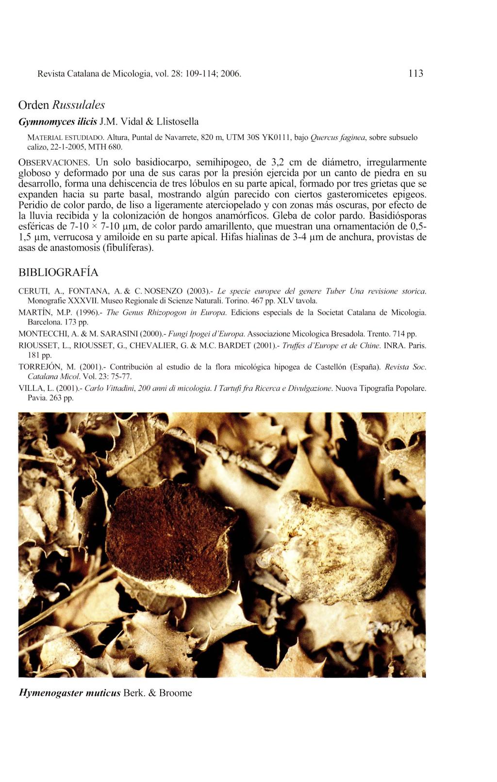 Revista Catalana de Micologia, vol. 28: 109-114 ; 2006. 113 Orden Russulales Gymnomyces ilicis 1M. Vidal & Llistosella MATERIAL ESTUDIADO.