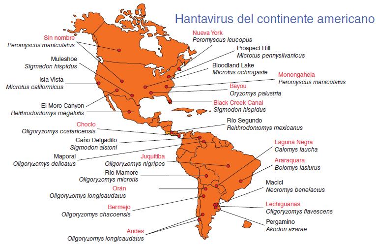 Figura 38-8 Distribución geográfica de los hantavirus del continente americano, señalados con los roedores peculiares que son sus reservorios (en cursivas).