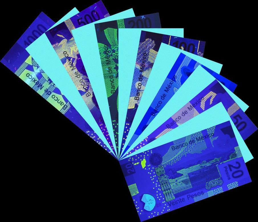 Verificación con lámpara de luz negra (1 de 2) Los billetes están fabricados en polímero o papel de algodón, lo que les da una consistencia y textura diferentes al papel bond.