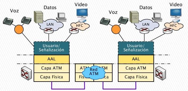 Hay cuatro tipos diferentes de AAL: AAL1, AAL2, AAL3/4 Y AAL5. Estos AALs ofrecen distintos servicios a los protocolos de nivel superior.