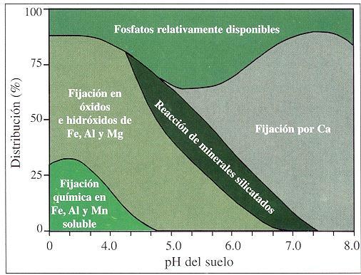 Beneficios Los mecanismos de fijación en suelos ultisoles, oxisoles y andisoles son diferentes.