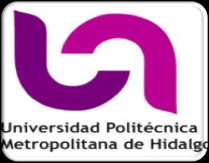 METROPOLITANA DE HIDALGO, UPMH PROGRAMA: LICENCIATURA EN INGENIERÍA AERONÁUTICA (2008)