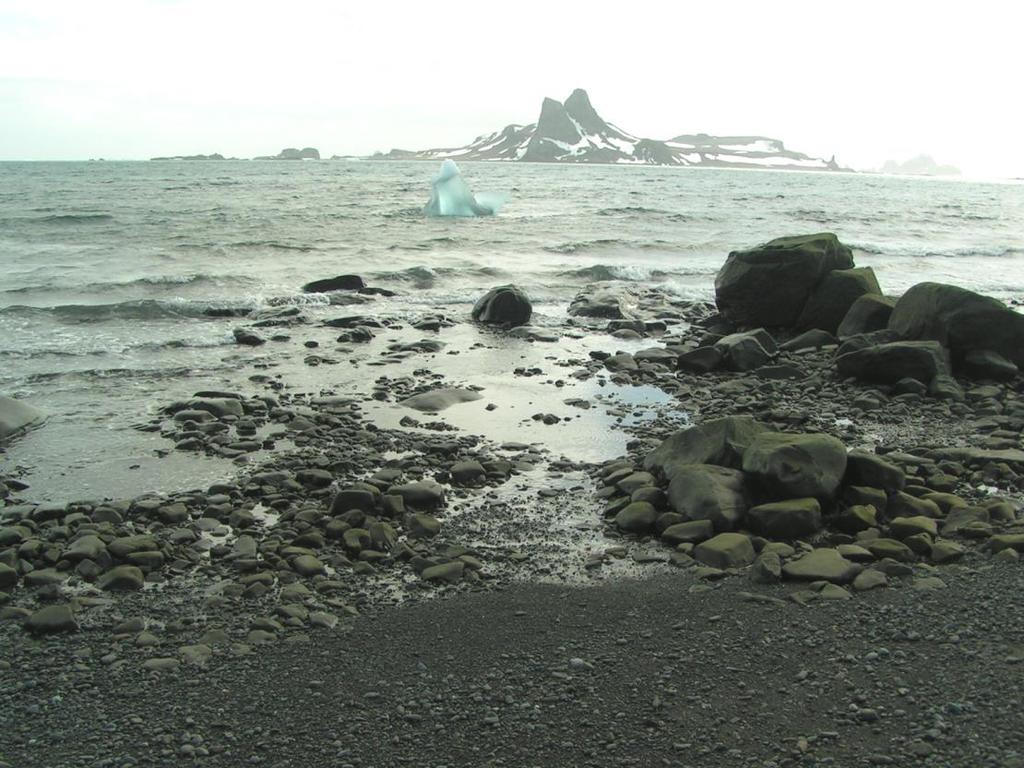 litoral formada por témpanos.