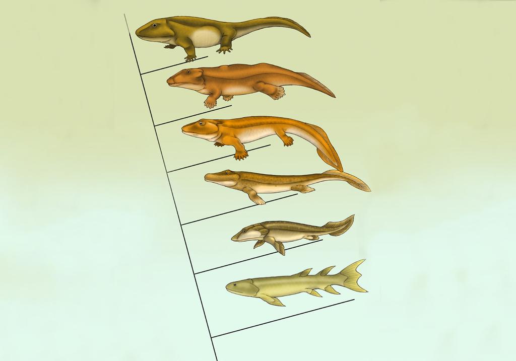 Su hallazgo se realizó en Anaspis, es un fósil del Cámbrico Superior, con un registro de más de 500 millones de años (Figura 14). Figura 14.