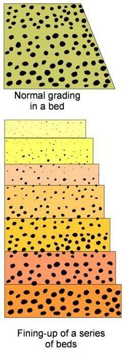 Variaciones en el tamaño de grano y Ley de Stokes El tamaño de grano en una capa generalmente es variable.