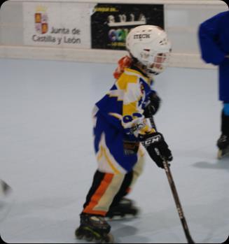 MATERIAL Lo primero que necesitarán los jugadores serán los patines en línea, así como un stick (tipo hockey línea o hielo).