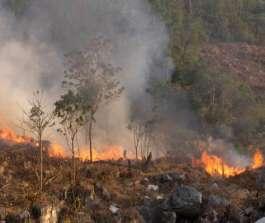 Curso de Prevención y Combate de incendios Forestales para brigadas comunitarias en zonas críticas de la Selva Zoque.