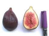 Napolitana: fruto de tamaño grande, firme al transporte, de