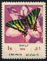 Lepidoptera : Papilionidae : Iphiclides podalirius.