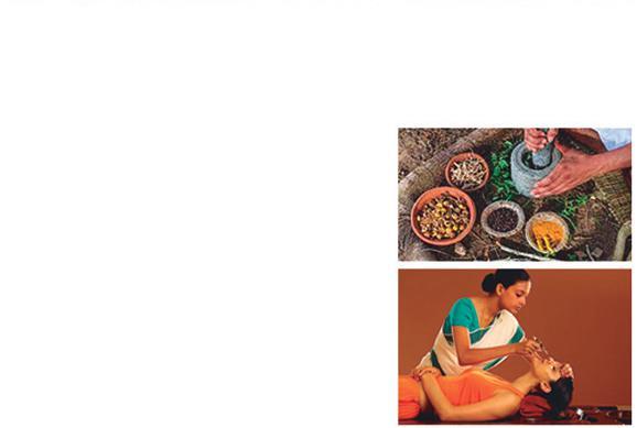 NUESTROS PATROCINADORES DE LA INDIA Ministerio de AYUSH Fue creado el 9 de noviembre de 2014 para asegurar el óptimo desarrollo y propagación de Ayurveda, Yoga y Naturopatía, Unani, Siddha y