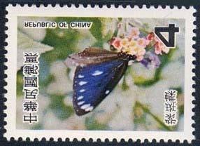 Lepidoptera : Pieridae : Ixias pyrene.