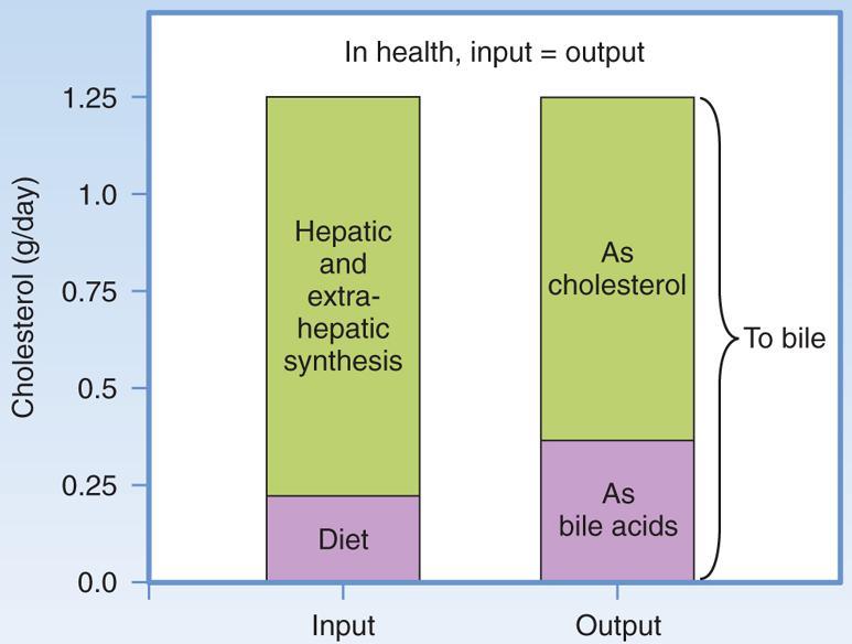 Balance diario de colesterol en una persona adulta sana El depósito de colesterol en el cuerpo refleja la síntesis diaria como también un componente menor derivado de ingesta ineficiente en la dieta.
