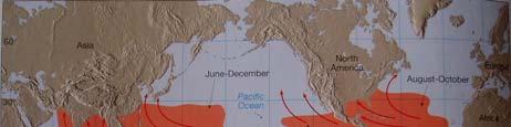 Océano Indico: sur de la India y este de frica 6 7
