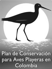 (eds). Conocimiento y Conservación de Aves Playeras en Colombia, 2006. Asociación Calidris. Cali. Colombia. 29 páginas Publicado por: Asociación Calidris www.calidris.org.