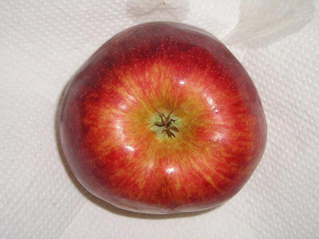 POMO: fruto carnoso derivado de ovario ínfero (manzana, pera,
