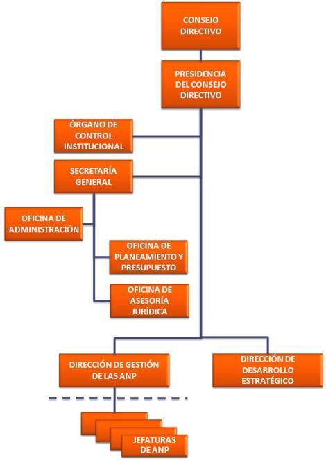 c) ESTRUCTURA ORGÁNICA La estructura orgánica del Servicio Nacional de Áreas Naturales Protegidas por el Estado Peruano SERNANP, está compuesta bajo procesos sencillos y la coordinación permanente