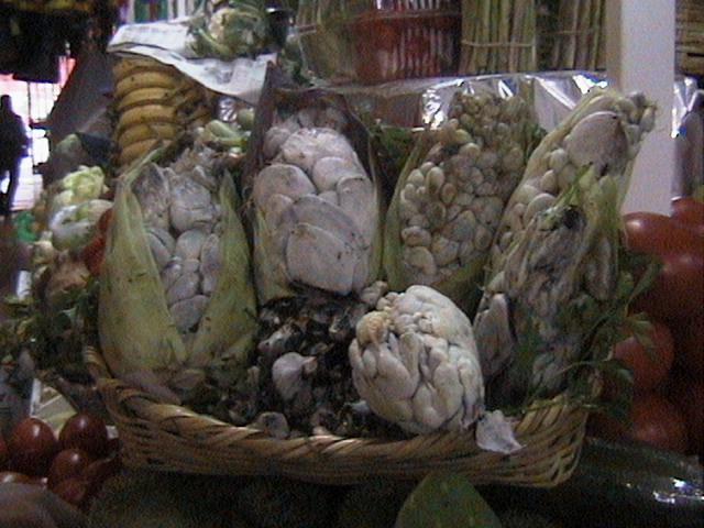 El cuitlacoche, un recurso alimentario mexicano no tan milenario Raúl Valadez Azúa La base cultural y biológica de la cocina mexicana se encuentra en la milpa, un agroecosistema en el cual el hombre