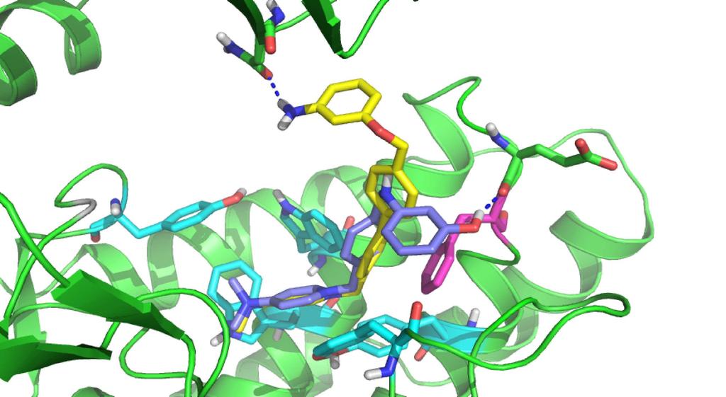 - La disposición más estable obtenida para los compuestos SOS-24 (átomos de carbono en color amarillo) y SOS-5 (átomos de carbono en color azul marino), usando el sitio de unión de la Cho como la
