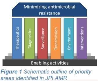 INFO EXTRA NO PRESENTADO EN LA SESIÓN JPI AMR www.jpiamr.eu El objetivo global a largo plazo es la lucha contra la resistencia a los antimicrobianos que amenaza la salud humana.