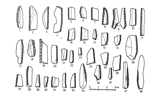 EXCAVACIONES EN EKAIN 19 Figura 21 4 laminitas de dorso parcial (fig. 21: 34, 36, 37, 38 ). 17 puntas de dorso (fig. 22: 1-17), 1 punta triangular larga de base retocada (fig.