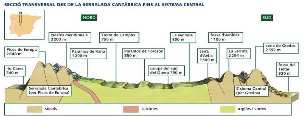 LA MESETA - Diverses unitats de relleu L'antic sòcol paleozoic, que aflora a la part occidental de la Meseta (Zamora i Salamanca) en forma de suau peneplà, que es fa una mica més extens a
