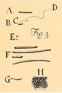 quimiolitotrofia Martinus Beijerinck (1901):