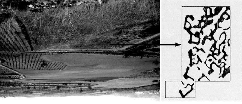 Figura 3. Actuaciones arqueológicas en el Poyo de Mara en el año 1986, resultados de la prospección eléctrica y situación del cenizal y de la cata A.