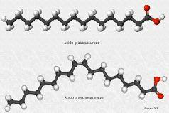 2. ÁCIDOS GRASOS Ácido carboxílico (- COOH) + larga cadena carbonada (sp nº par de C) CH3- (CH2)n-COOH Adoptan forma en zig- zag Saturados: sólo enlaces simples (en grasas animales) Ácido palmítico: