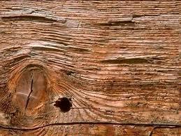 La madera La madera es una materia prima vegetal que se extrae de los tallos leñosos de los árboles.