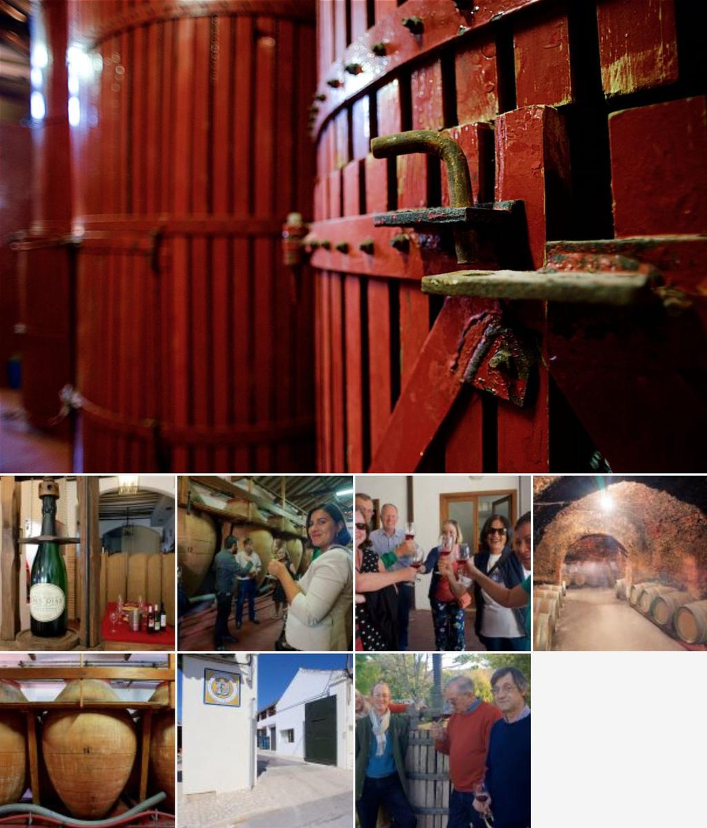HERMANOS DÍAZ OCAÑA CB Bodega familiar ubicada en un antiguo convento de franciscanos que comercializa vino blanco, tinto, rosado y vino espumoso de forma tradicional desde 1898.
