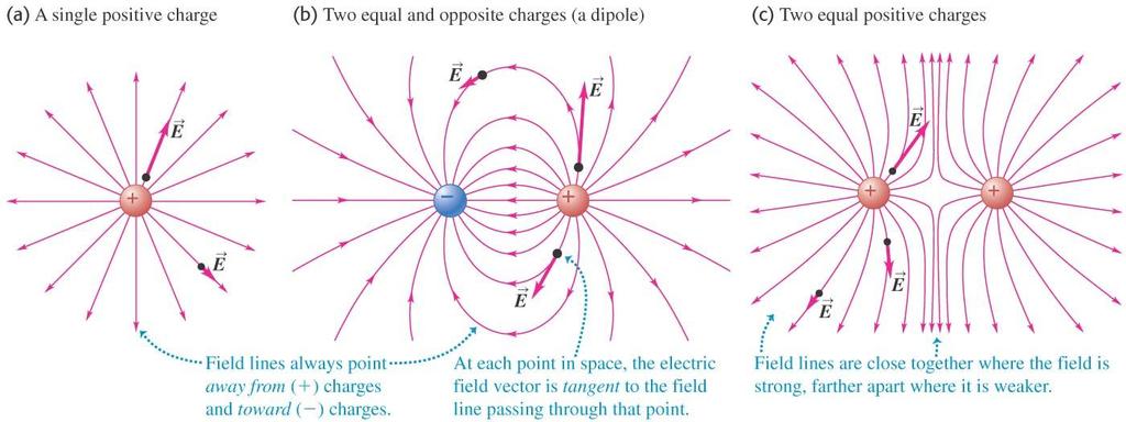 Electric field lines of point charges Figure 21.